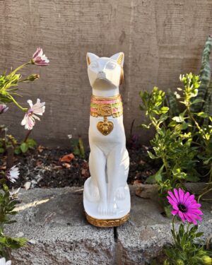 455AF2FD-92F3-4EFC-8C11-1A863612014B Gato Egipcio Blanco