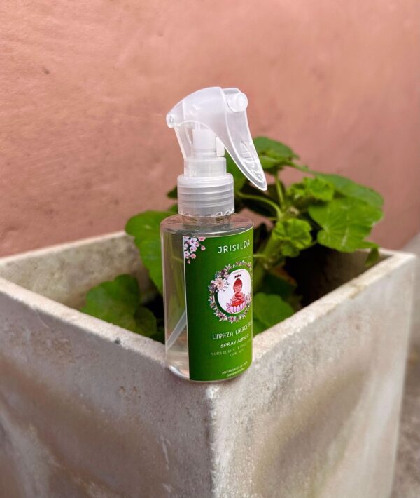 WhatsApp Image 2024-09-19 at 13.16.59 Limpieza Energética