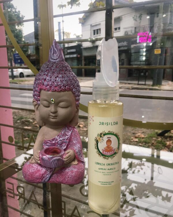 WhatsApp Image 2025-05-16 at 19.43.57 Limpieza Energética